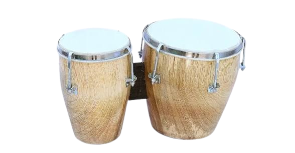Bongo