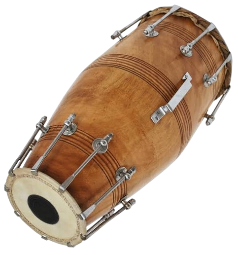 Nal (Dholki) Mango